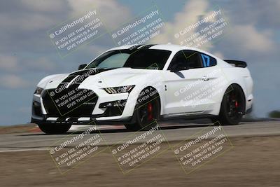 media/Mar-31-2024-Speed Ventures (Sun) [[a3b2bf813d]]/Purple/Session 2 (Grapevine)/